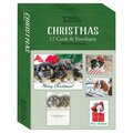 Go-Go Puppies Christmas Boxed Card, 12PK GO3312339